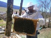 N°4, Joël D'Epagnier