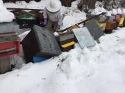 N°5, Véronique Aubert Blanchoud