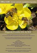 abeilles-et-programme-site