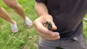 20260830175902